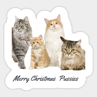 Cat Christmas Sticker